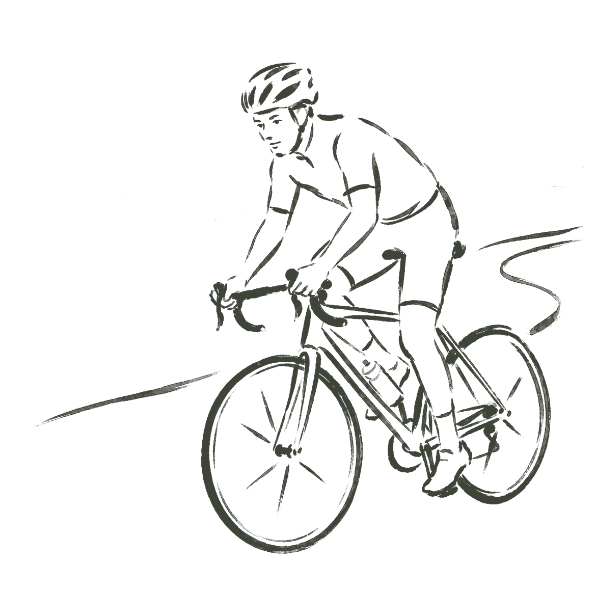 Scenic Cycleways