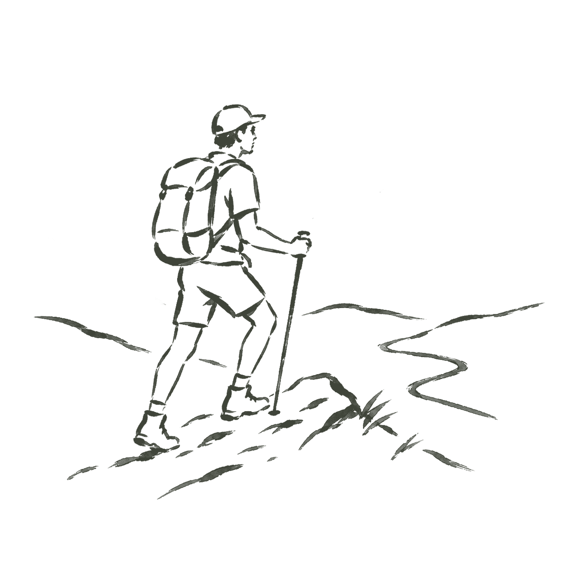 Hike the Trails